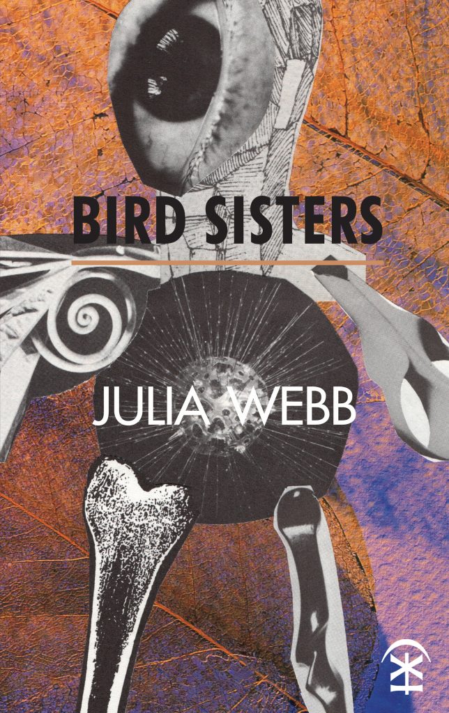 Bird Sisters Book Cover